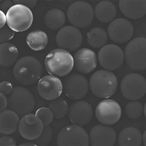 PDLLA MICROSPHERES